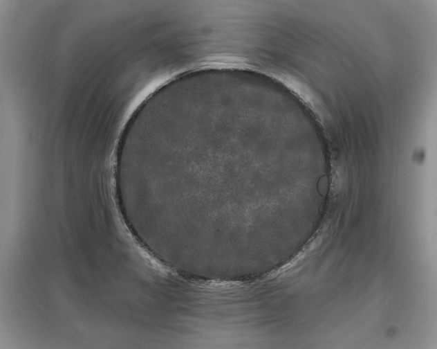 X0000097611325200803071441