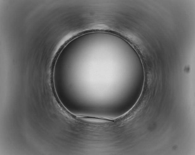 X0000097611326200803071441