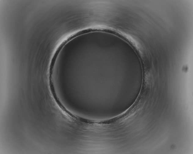 X0000097611327200803071441