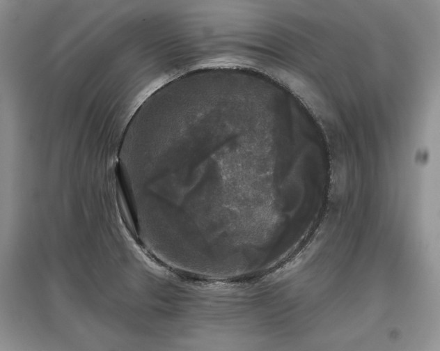 X0000097611329200803071442