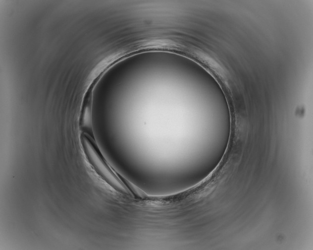 X0000097611330200803071442