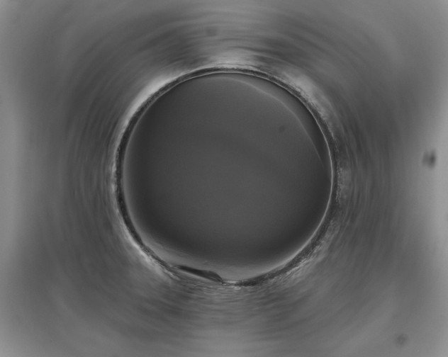 X0000097611331200803071442