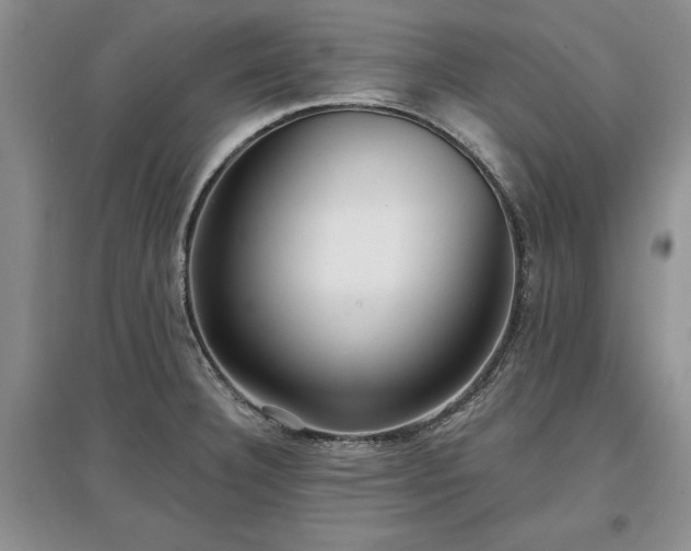 X0000097611332200803071442