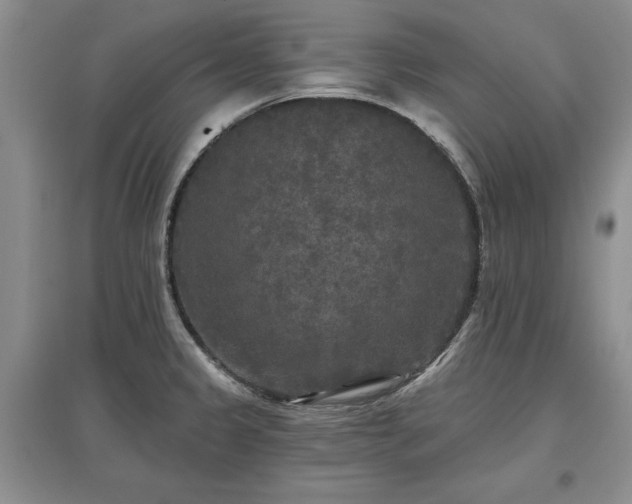 X0000097611333200803071442