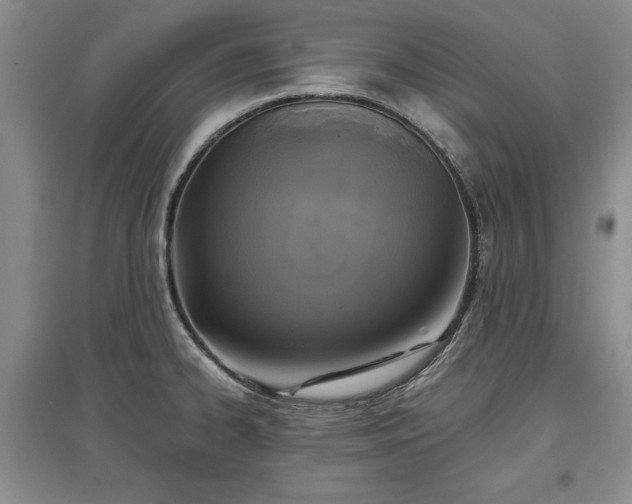 X0000097611334200803071442