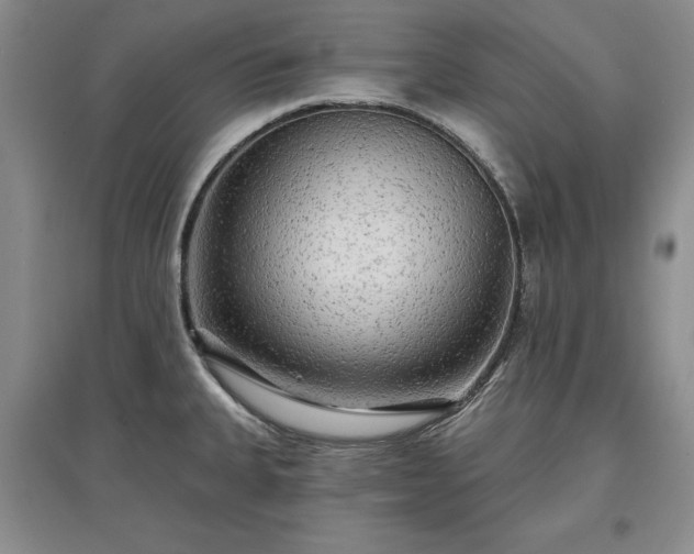 X0000097611335200803071442