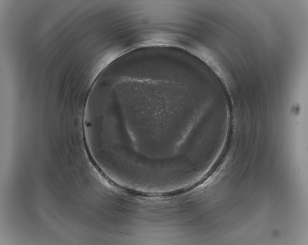 X0000097611337200803071442