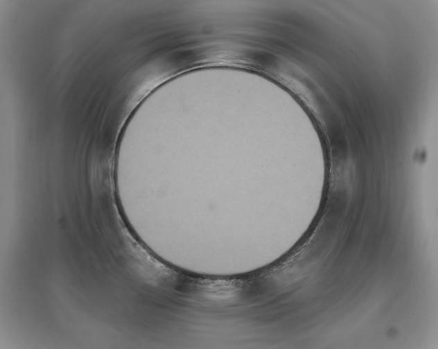 X0000097611338200803071442