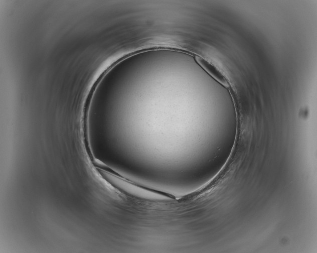 X0000097611339200803071442
