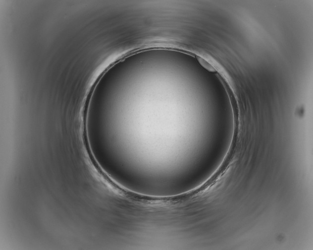 X0000097611341200803071442