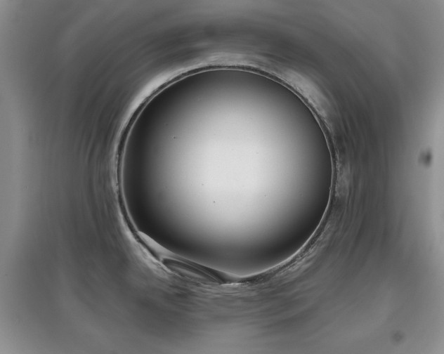 X0000097611342200803071442