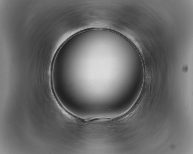 X0000097611343200803071442