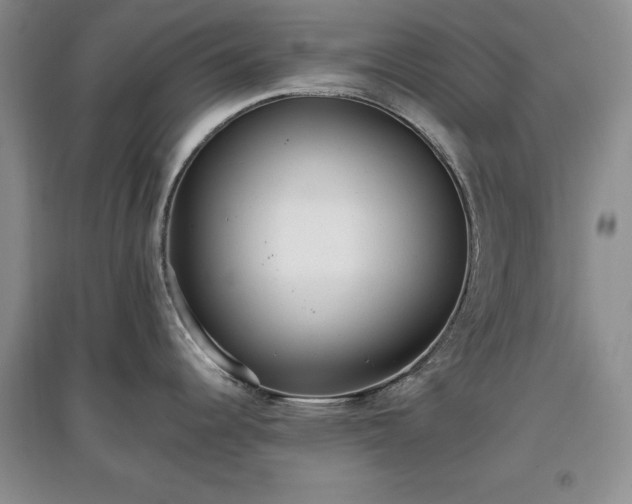X0000097611344200803071442