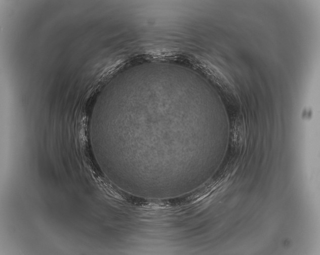 X0000097611346200803071441