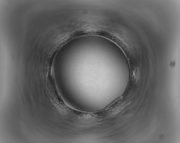 X0000097611348200803071441