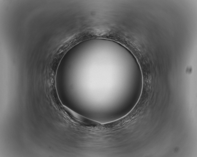 X0000097611349200803071441
