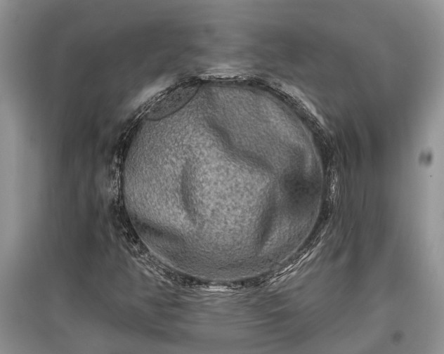 X0000097611350200803071441