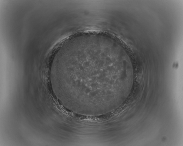X0000097611351200803071441