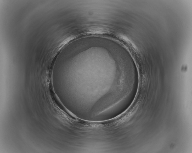 X0000097611353200803071441