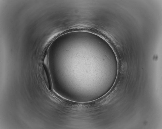 X0000097611355200803071441
