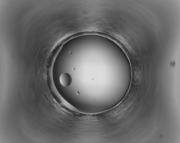 X0000097611356200803071441