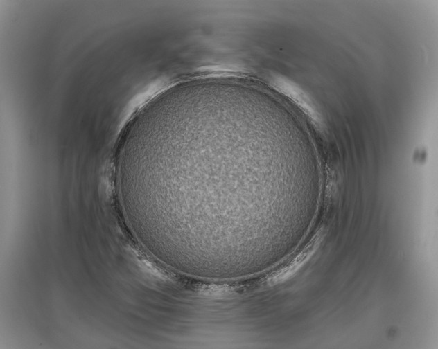 X0000097611357200803071441