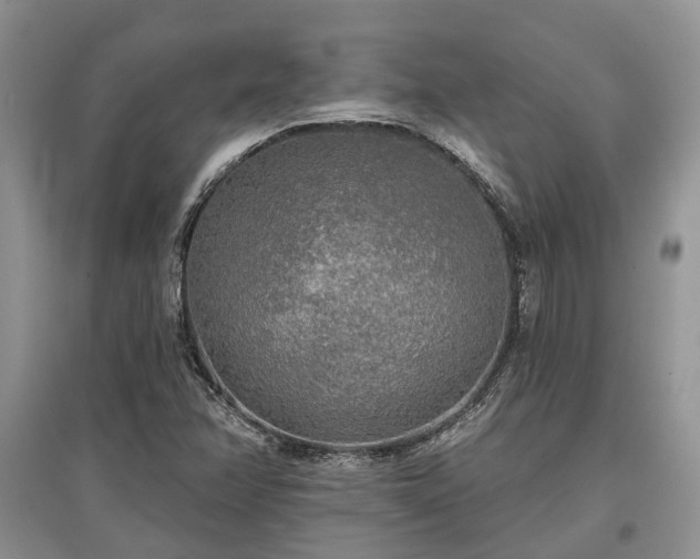 X0000097611358200803071441