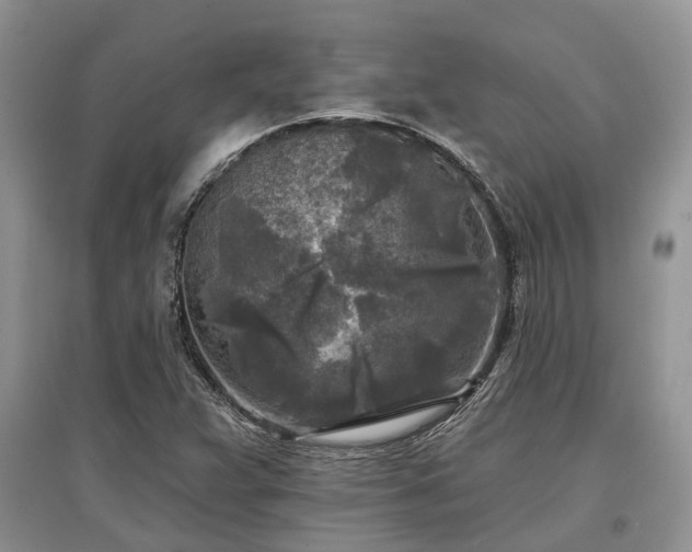 X0000097611359200803071441