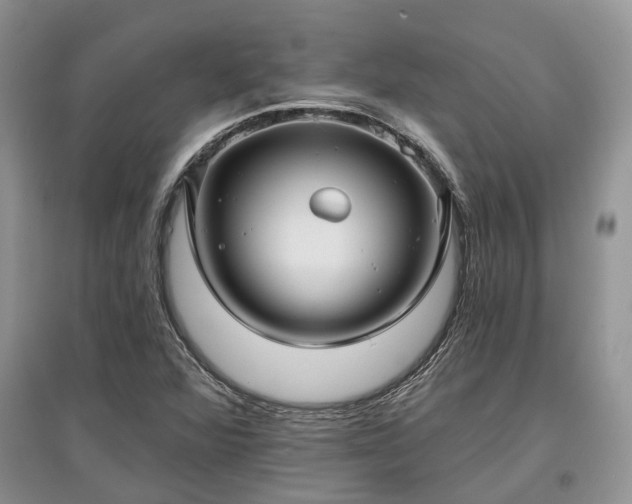 X0000097611360200803071441