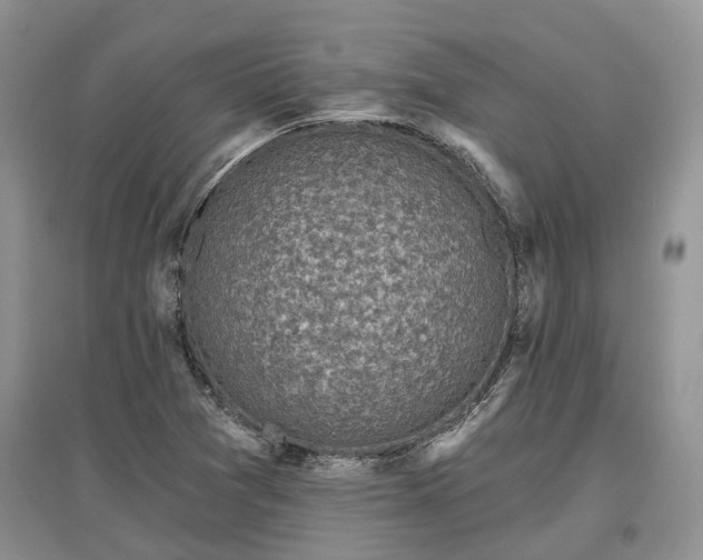 X0000097611361200803071441