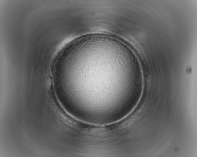 X0000097611363200803071441