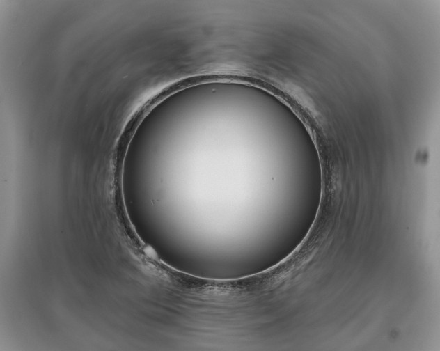 X0000097611364200803071441