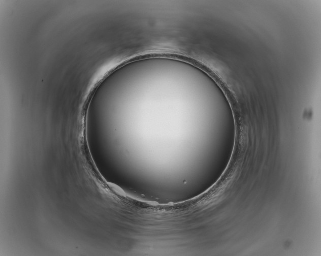X0000097611366200803071441