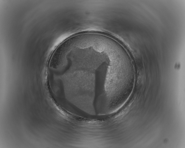 X0000097611367200803071441
