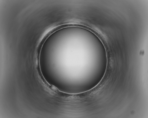 X0000097611368200803071441