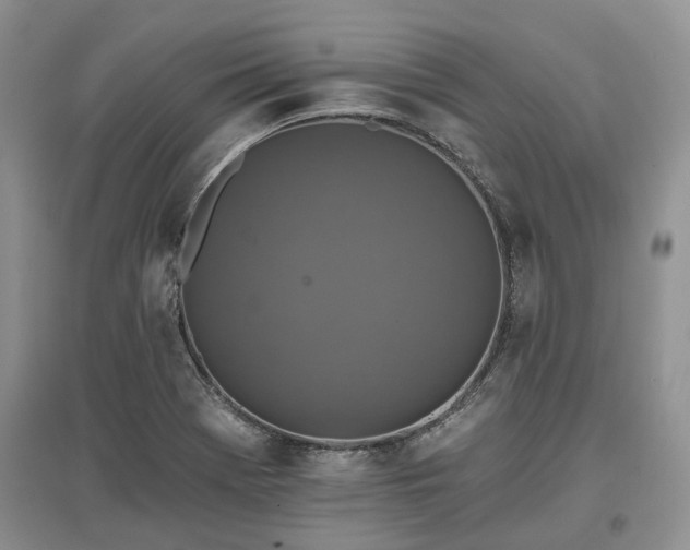 X0000097611369200803071441