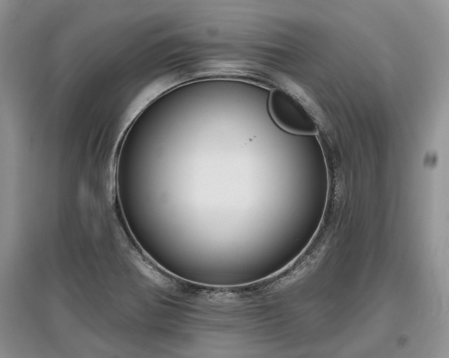 X0000097611370200803071441
