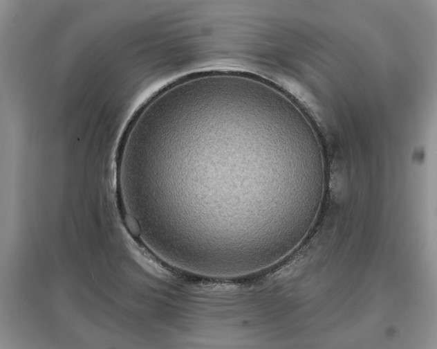 X0000097611372200803071441