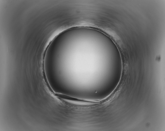 X0000097611374200803071441