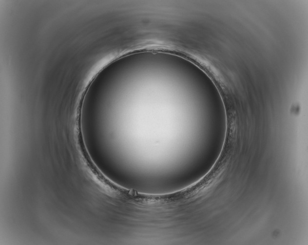 X0000097611375200803071441