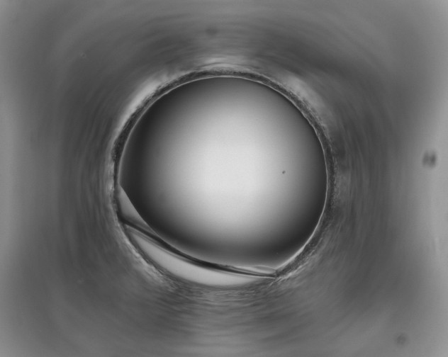 X0000097611376200803071441