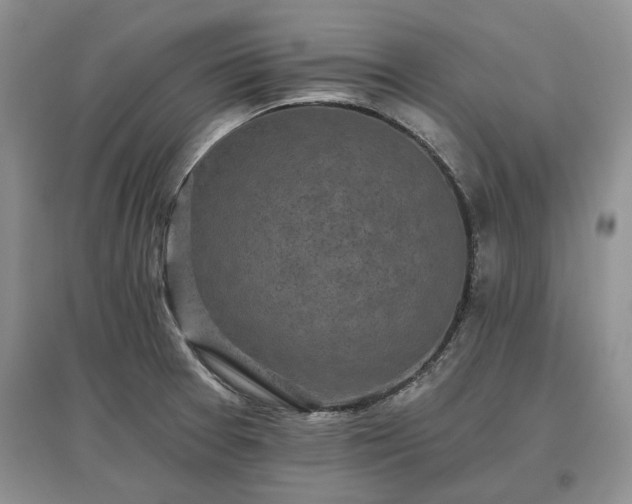 X0000097611377200803071441