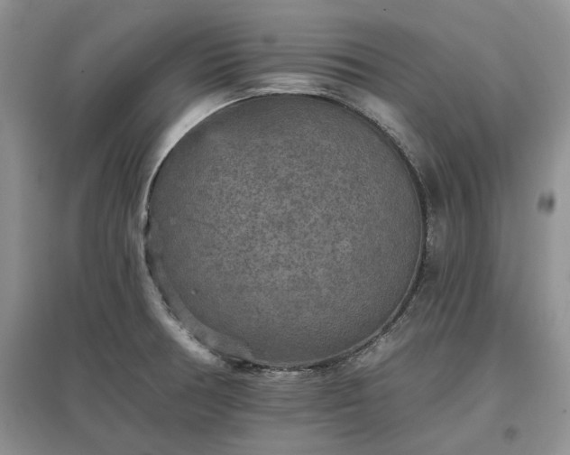 X0000097611378200803071441