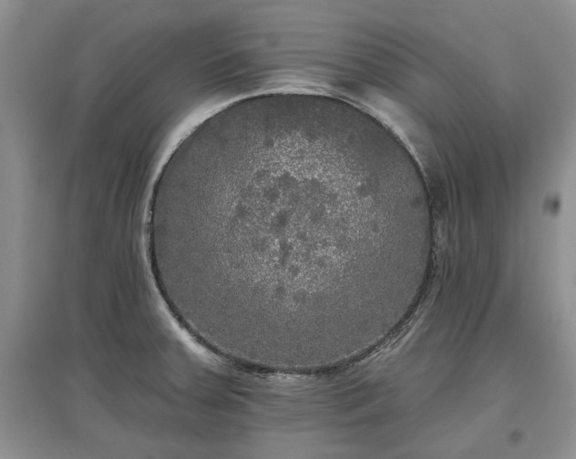 X0000097611379200803071441