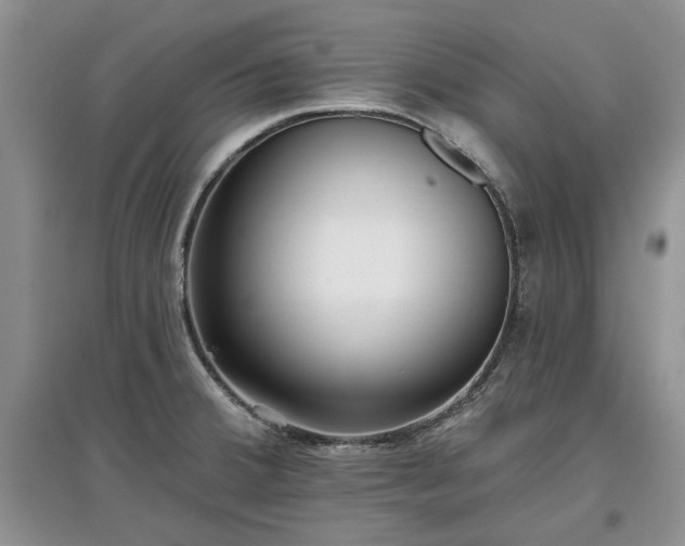 X0000097611380200803071441