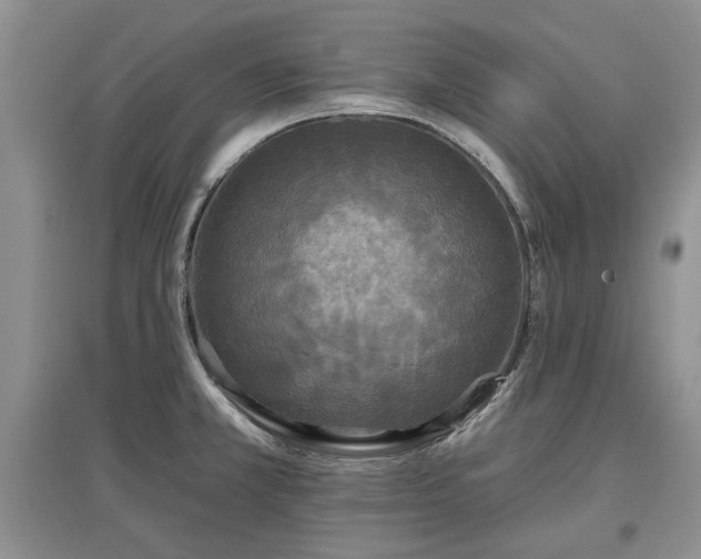 X0000097611381200803071441