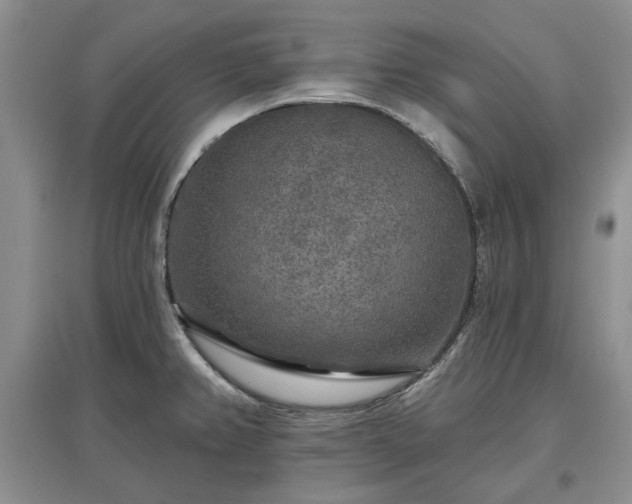 X0000097611382200803071441