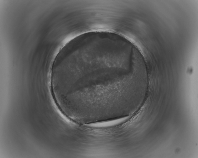 X0000097611383200803071441