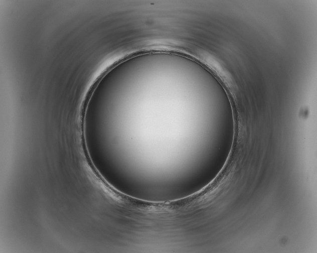 X0000097611384200803071441