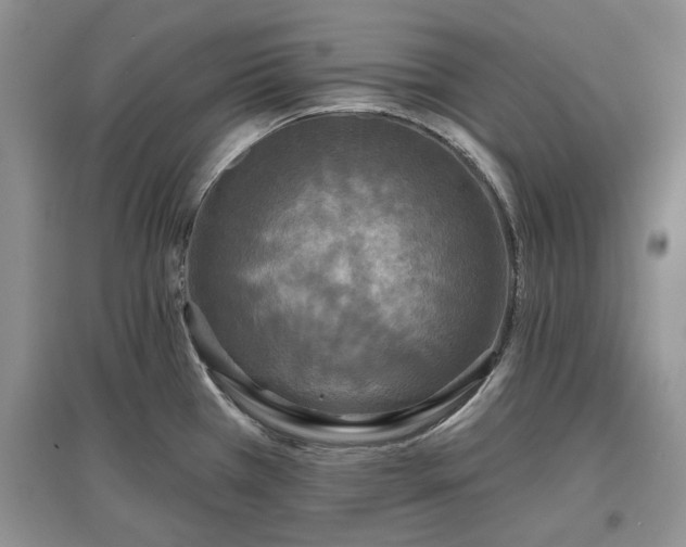 X0000097611385200803071441
